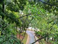 Dipterocarp Walk at The Canopy, Taman Botani Putrajaya – A Nature Escape Above the Trees