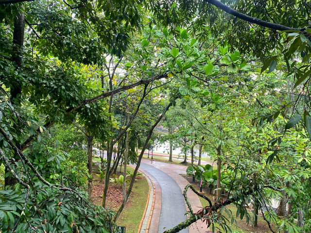 Dipterocarp Walk at The Canopy, Taman Botani Putrajaya – A Nature Escape Above the Trees