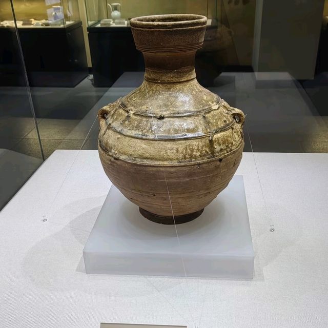 Pu'er City Museum: Guardians of the Ancient Tea Horse Road