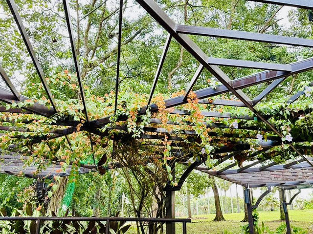 Climb into Nature’s Charm at Laman Pepanjat! 