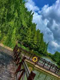 🌳 Century Park – Shanghai’s Green Oasis🌿