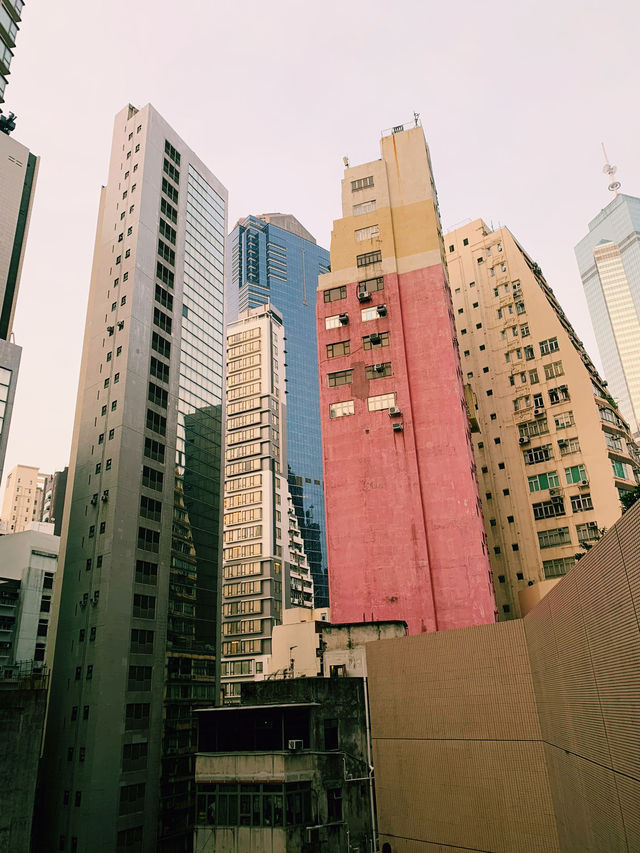 隠れ家のような都会のオアシス ― AKVO Hotel Hong Kong 隠れ家のような都会のオアシス ― AKVO Hotel Hong Kong