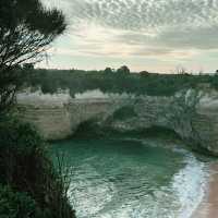 お一人向けグレートオーシャンロード（Great Ocean Road）の日帰りツアー比較