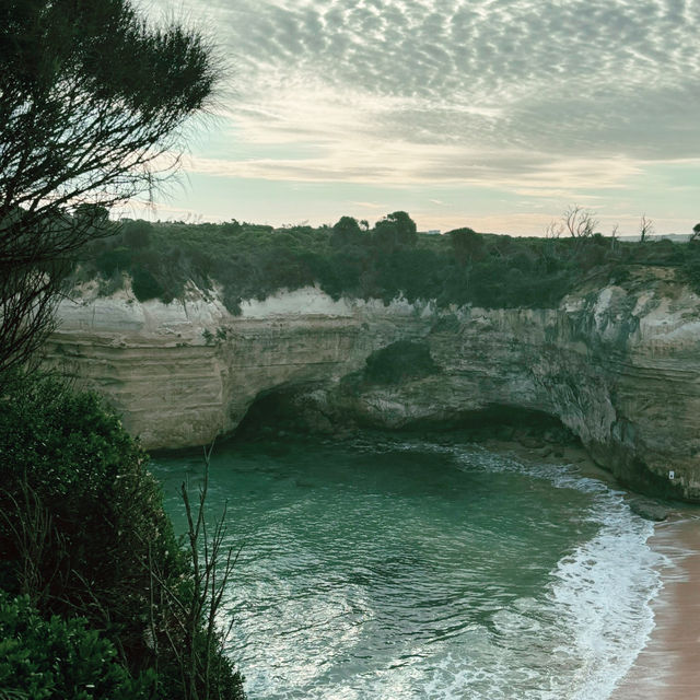 お一人向けグレートオーシャンロード（Great Ocean Road）の日帰りツアー比較