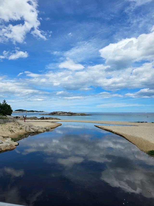 여름휴가의 정석 강원도 고성 여행코스🏖