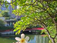 台中秋紅谷