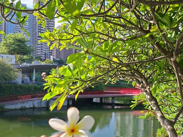 台中秋紅谷 台中秋紅谷