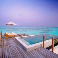 Castaway in Style
