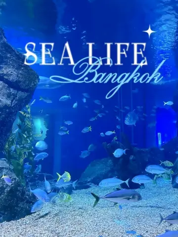 เที่ยวดูสัตว์ทะเลที่ SEA LIFE Bangkok