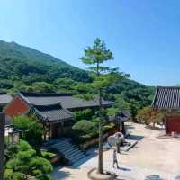 울창한 숲길 끝에 자리한 웅장한 사찰
