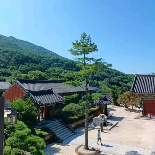울창한 숲길 끝에 자리한 웅장한 사찰