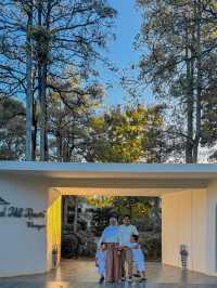 Not Just a Stay — It’s a Reset at Diamond Hills Resort 