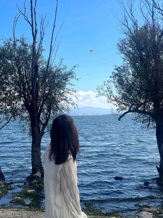 Vân Nam đẹp như phim, cơ mà đồ ăn thì... @@ Vân Nam đẹp như phim, cơ mà đồ ăn thì... @@