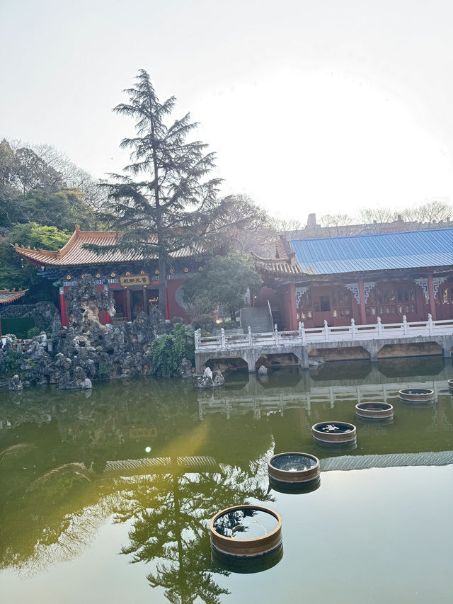 วัดหยวนทง  (yuantong temple) คุนหมิง