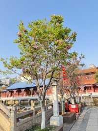 วัดหยวนทง  (yuantong temple) คุนหมิง
