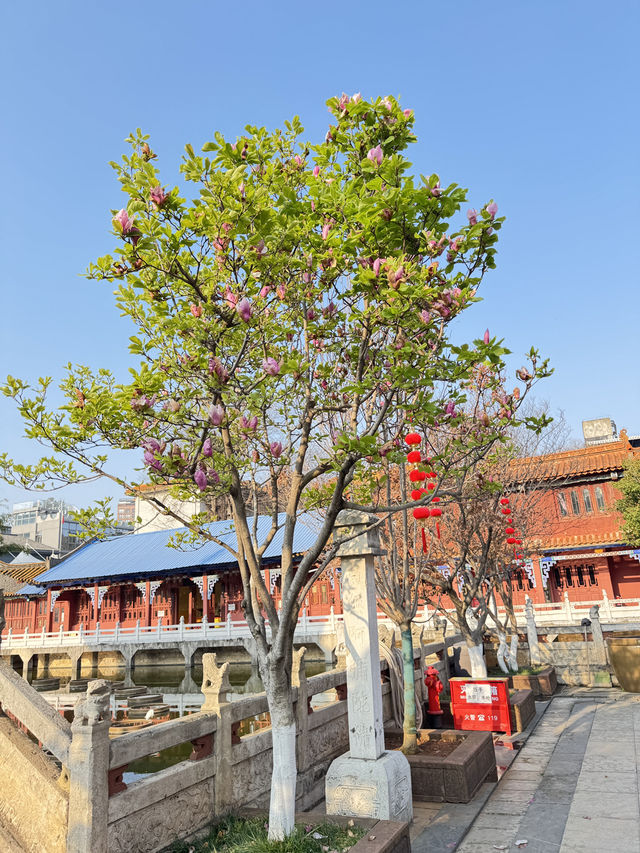 วัดหยวนทง  (yuantong temple) คุนหมิง