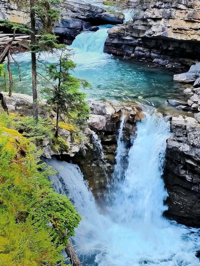 Johnston Canyon