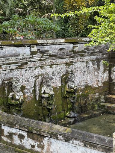 インドネシア・バリ島／ウブド近郊】神秘と静寂の「Goa Gajah