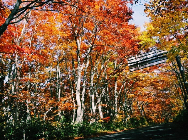 日本🇯🇵八甲田山探索自然風貌 日本🇯🇵八甲田山探索自然風貌