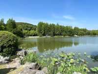 🌸 Ten-Mile Fragrant Path (十里芳径) — The Heart of Yuantouzhu 🌸