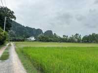 บ้านมุง หมู่บ้านเล็กๆ ในอำเภอเนินมะปราง 🌿