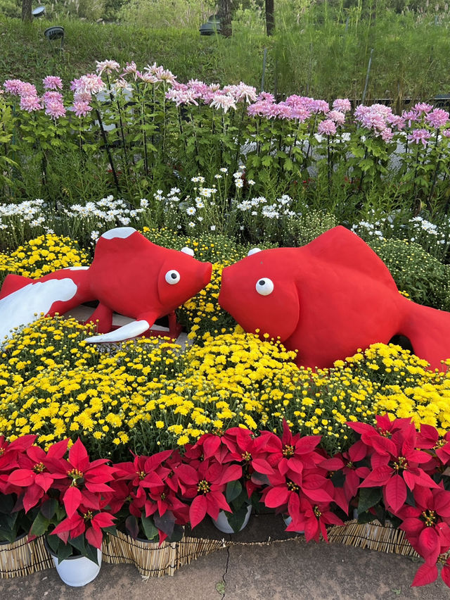 인천 가을 꽃축제, 경인 아라뱃길 국화꽃 축제