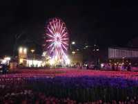 🌹Floriade Nightfest🌹