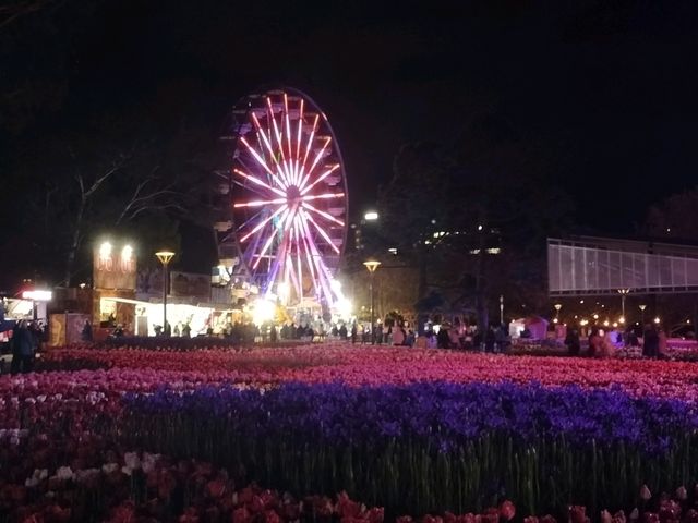🌹Floriade Nightfest🌹
