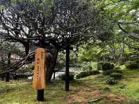 仙台・松島に行くべき5つの理由