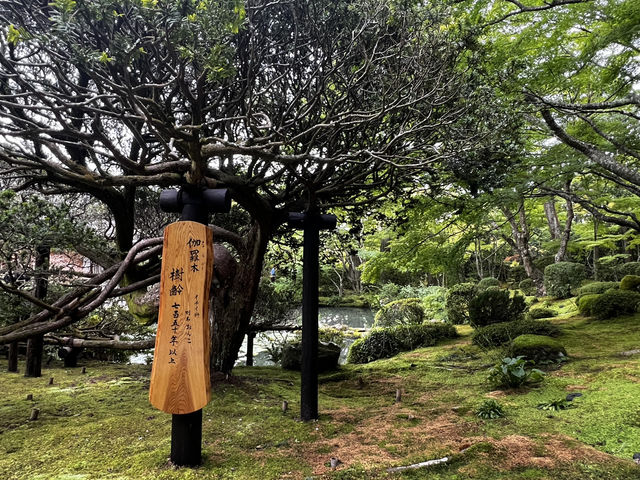 仙台・松島に行くべき5つの理由