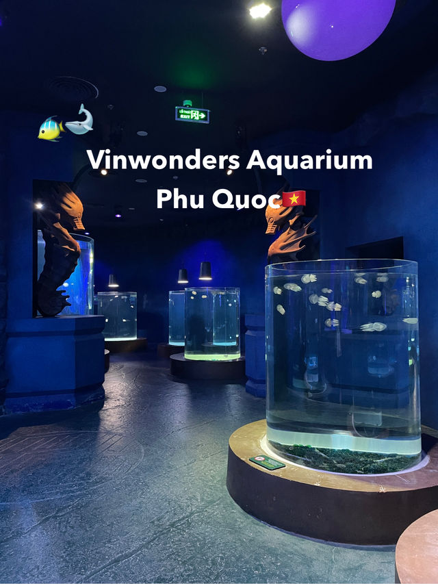 อความเรียมในสวนสนุก Vinwonders🐋 อความเรียมในสวนสนุก Vinwonders🐋