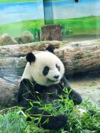 Taipei Zoo