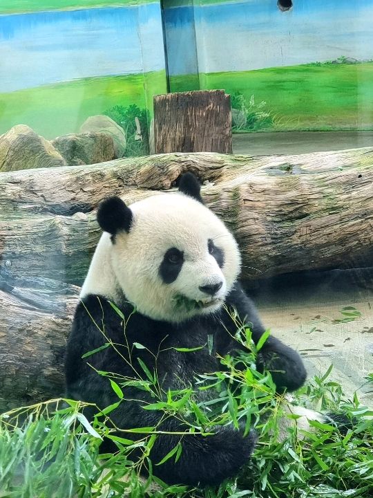 Taipei Zoo