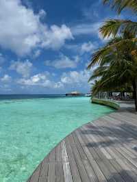 🐬 Oceanfront Lunch Bliss in the Maldives