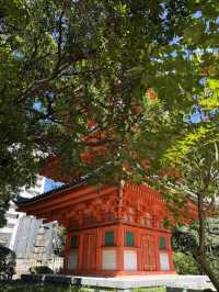 穿越千年!從空海古剎到震撼大佛:福岡東長寺的必訪亮點全攻略