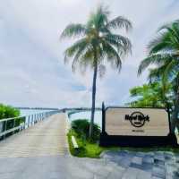 Rocking Paradise Found