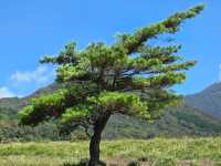 Yufu Mountain