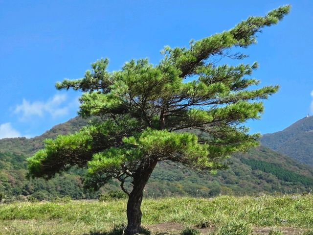 Yufu Mountain