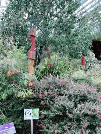 Flower Dome Singapore: A Must-Visit Floral Wonderland