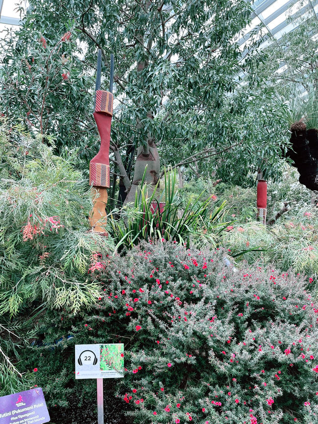 Flower Dome Singapore: A Must-Visit Floral Wonderland Flower Dome Singapore: A Must-Visit Floral Wonderland