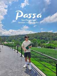 🌱 PASSA | ผัสสะ คาเฟ่ไร่ชา