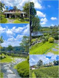 🍃 PASSA TEA PLANTATION @ MEA ON 🍃