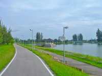เป็ดเหลืองที่หนองประจักษ์