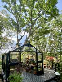 🌸 Garden Strolls & Gourmet Picnics at Nicolai Bergmann Hakone Gardens