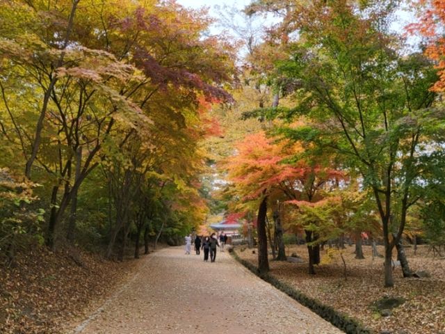 고즈넉한 사찰에서 단풍도 보고 국보도 보는 가을 여행 🧡