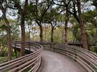 Enchanting Experience at White Snake Bridge