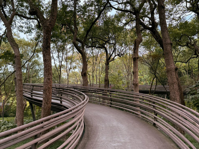 Enchanting Experience at White Snake Bridge