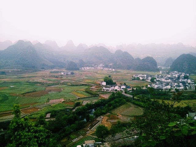 The Majestic Wanfenglin and the Mysterious Bagua Field