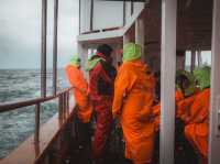 🇮🇸🌋 Iceland