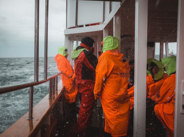 🇮🇸🌋 Iceland